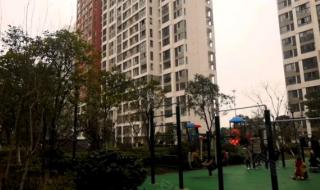 西青区实验小学 西青区实验小学