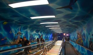 上海外滩隧道车祸 上海外滩隧道车祸