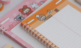 手帐便签十大用法 手帐便签十大用法