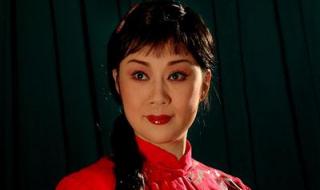 豫剧李金枝 豫剧李金枝