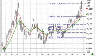 黄金大盘价格今日多少 黄金大盘价格今日多少