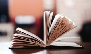 慈母手中线游子身上衣 慈母手中线游子身上衣