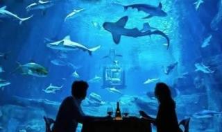 上海哪里有蹦极 上海哪里有蹦极