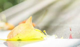 英雄联盟主题餐厅 英雄联盟主题餐厅