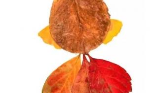漂亮又简单的树叶贴画 漂亮又简单的树叶贴画