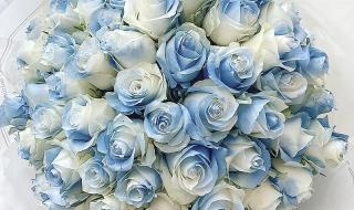 碎冰蓝适合送什么人