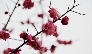 西安电脑回收 西安电脑回收