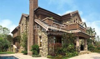 别墅出售独栋别墅 别墅出售独栋别墅