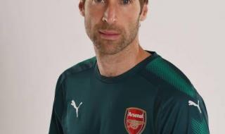 阿森纳历史最佳门将 阿森纳历史最佳门将